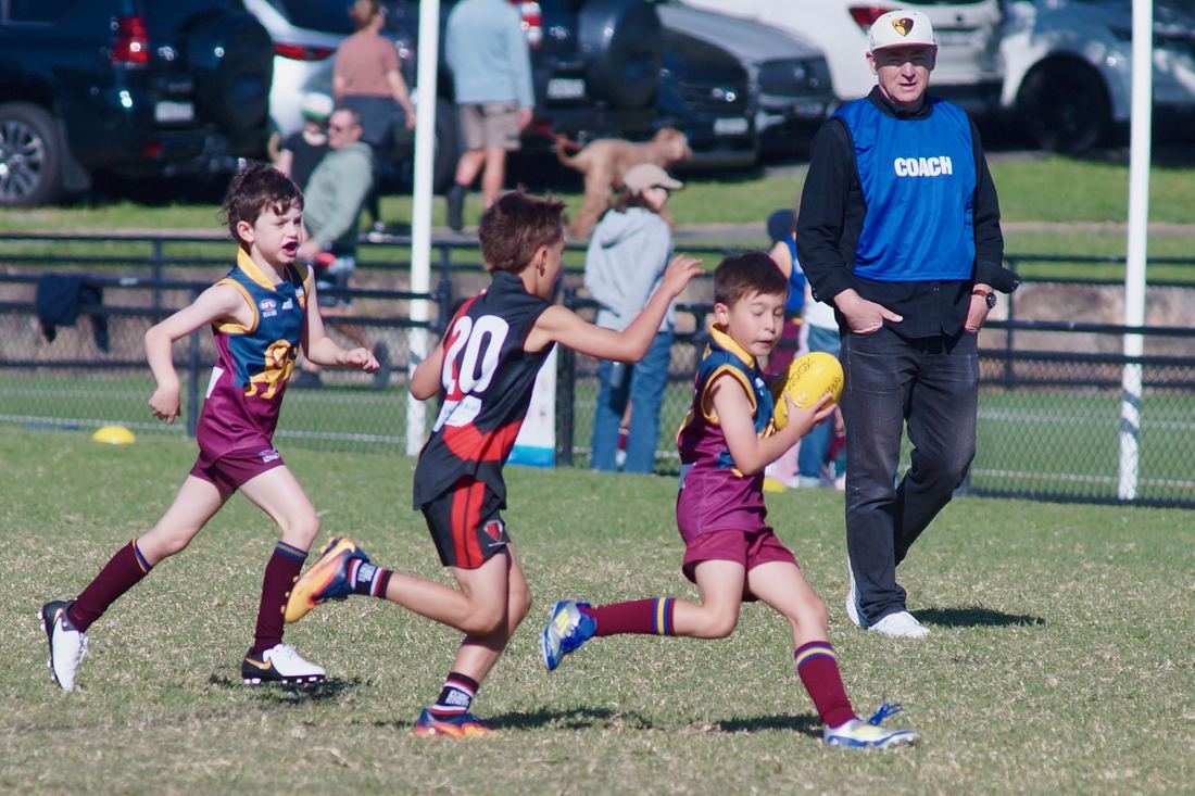 Forest Lions Junior Boys AFL