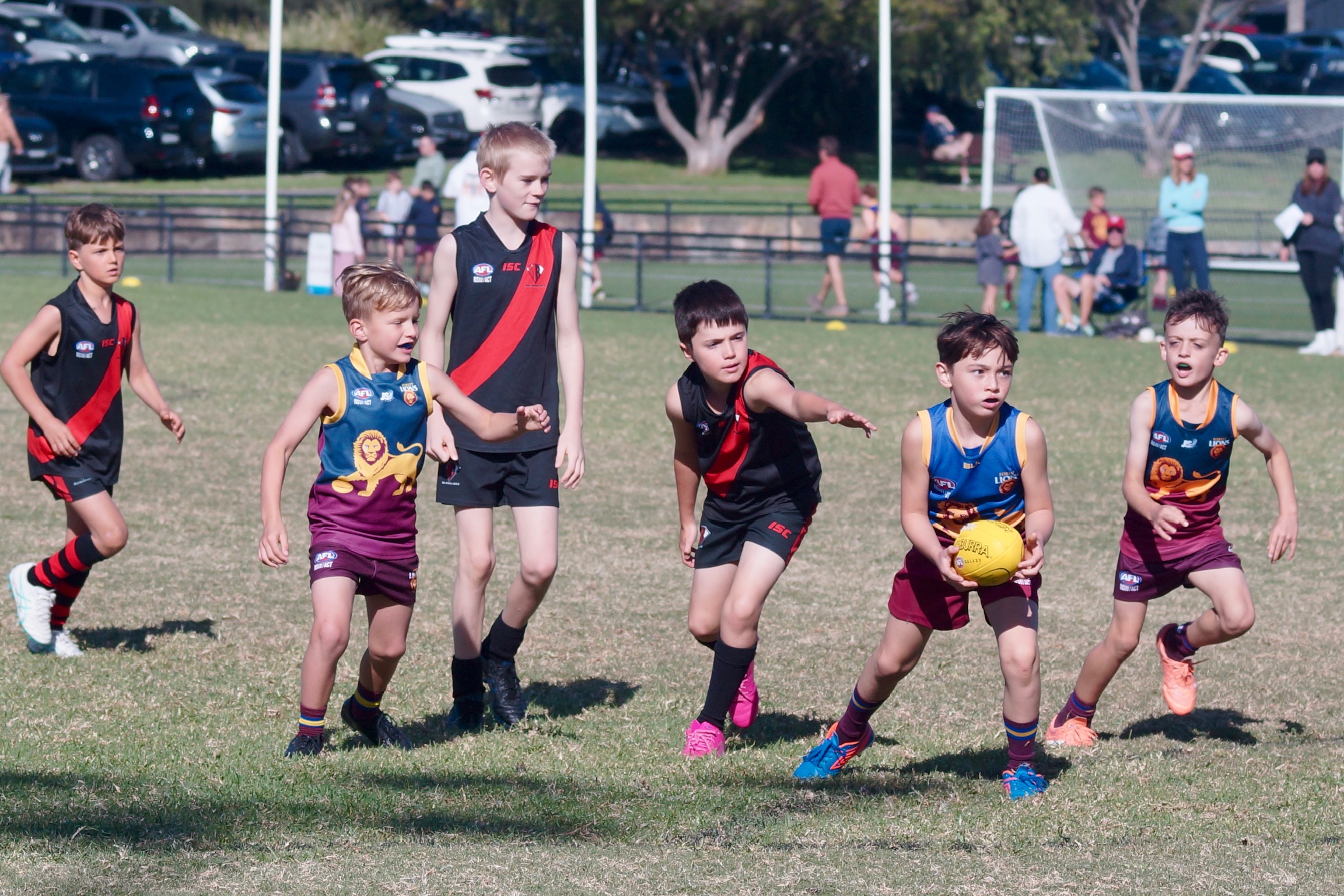 Auskickers chasing the ball